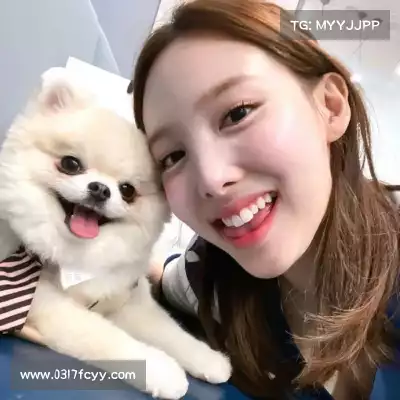 蓬宝蝶